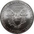 USA, dolar 2010,  Silver Eagle, uncja srebra