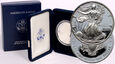 USA, 1 dolar 1999 P, Silver Eagle, stempel lustrzany (proof)