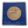 zdjęcie główne