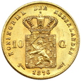 576. Holandia, Wilhelm 10 Guldenów 1876 rok
