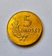 5 groszy 1949 r Brąz  (Polska, PRL) ( zest.Marc.)