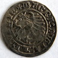 Półgrosz 1512 Wilno