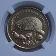 2 ZŁ JEŻ 1996 NGC MS66