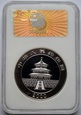 10 YUAN 2000 - PANDA - KOPIA