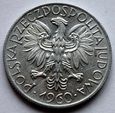 5 ZŁ RYBAK 1960 ( ZG7 )