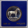 100 ZŁ KOŃ 1981