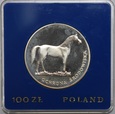 100 ZŁ KOŃ 1981