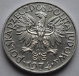 5 ZŁ RYBAK 1974 SŁONECZKO