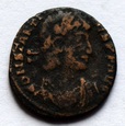 FOLLIS (KL1)