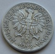 5 ZŁ RYBAK 1958 WĄSKA 8 - BEZ SZNURA - WĄSKA RĘKA