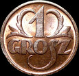 zdjęcie główne