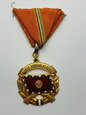 Węgry Złoty Medal za Zasługi w Służbie Ojczyźnie