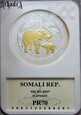 Somalia - słonie 2007 - PR 70