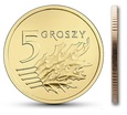 zdjęcie główne