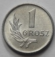zdjęcie główne