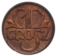 1 Grosz 1928 rok