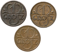 zestaw: 1 grosz 1925, 1928 i 1930 Nr 10409