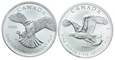 Kanada, 5 dolarów 2014, Sokół Wędrowny, Orzeł Bielik (2szt.)
