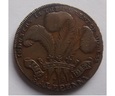 Wielka Brytania Halfpenny Prince of Wales 1795