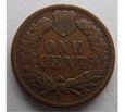 1 CENT 1895  Stany Zjednoczone Ameryki (1859 - 1909)