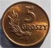 5 GROSZY 1949   PRL  BRĄZ  **Q49**