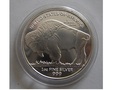 SZTABKA American Silver Buffalo Rounds 2023 Ag 999