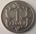 zdjęcie główne