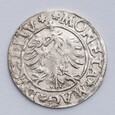 Polska, Półgrosz 1545 (bez daty) RRR