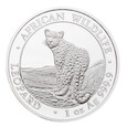 Somalia, 100 Szylingów 2018 r., Fauna Afryki - Lampart, 1 OZ Ag 999,9