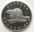 zdjęcie główne