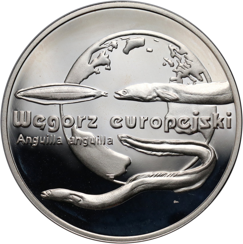 235. Polska, III RP, 20 złotych 2003, Węgorz Europejski