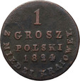 Królestwo Polskie, 1 grosz polski 1824 IB, Warszawa