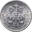 52. Polska, PRL, 5 złotych 1960, Rybak