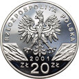 41.  Polska, III RP, 20 złotych 2001, Paź Królowej