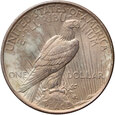 USA, dolar 1923, Peace