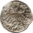 104. Polska, Zygmunt II August, denar litewski 1559, (R3), #PW