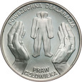 zdjęcie główne