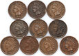 52. USA, zestaw 10 x 1 cent, Indianin, Indian Head Cent
