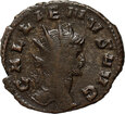 Cesarstwo Rzymskie, Galien 253-268, antoninian, Rzym