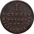 Królestwo Polskie, 1 grosz polski 1825 IB, Warszawa