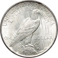 USA, dolar 1922, Peace