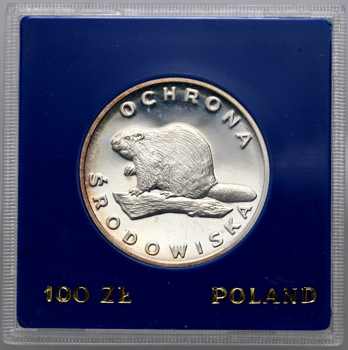 11. Polska, PRL, 100 złotych 1978, Ochrona Środowiska - Bóbr