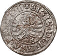 Zygmunt I Stary, szeląg 1531, Gdańsk