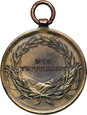 Austria, Franciszek Józef (1848-1916), medal Za Dzielność