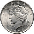 233. USA, 1 dolar 1922, Peace
