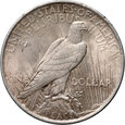 234. USA, 1 dolar 1923, Peace