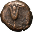 Judea, Jan Hirkan I 134-104 p.n.e., prutah, Jerozolima