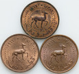 Katar i Dubaj, zestaw 3 x dirham 1386 (1966)