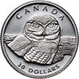 Kanada, zestaw 4 monet, 30, 75, 150 i 300 dolarów, Puchacz śnieżny