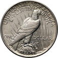 352. USA, 1 dolar 1924, Peace